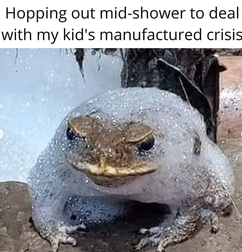 Hopping out mid-shower to deal with my kid's manufactured crisis