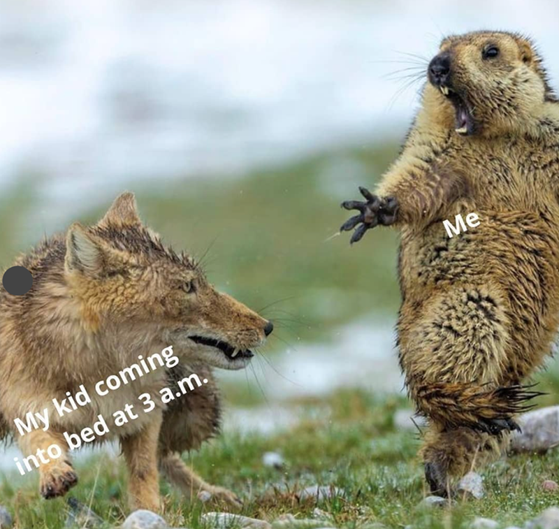 My kid coming into bed at 3 a.m. Me