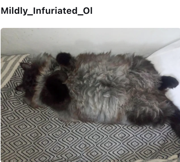 Mildly_Infuriated_Ol