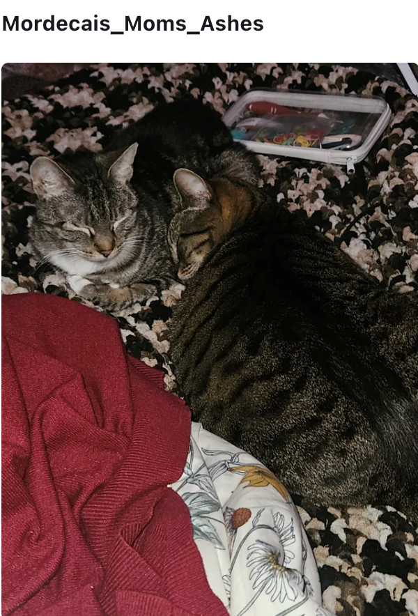 Mordecais_Moms_Ashes