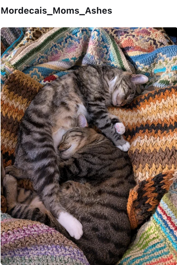 Mordecais_Moms_Ashes