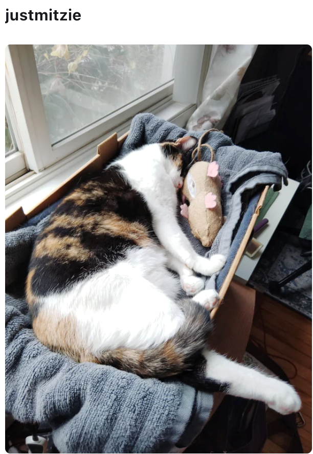 justmitzie