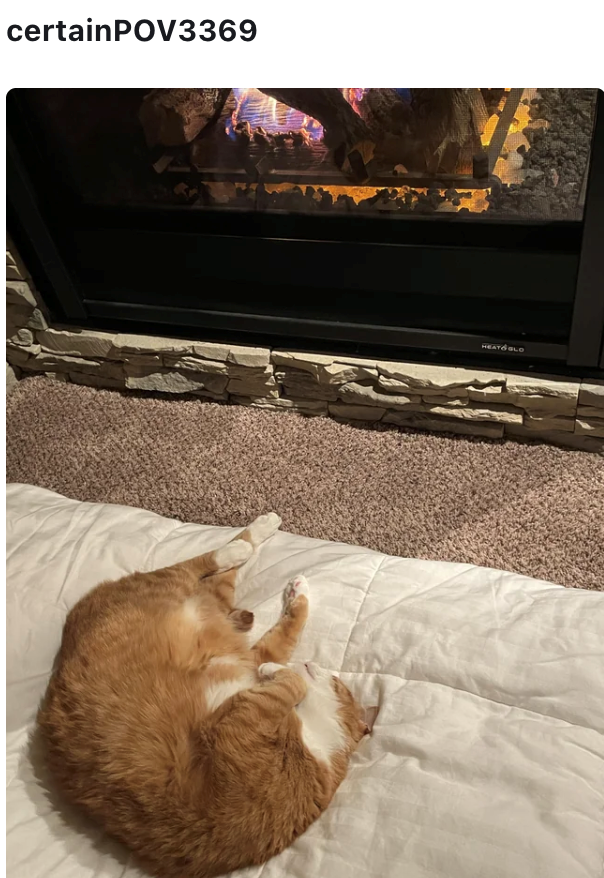 certainPOV3369 HEATS BLO