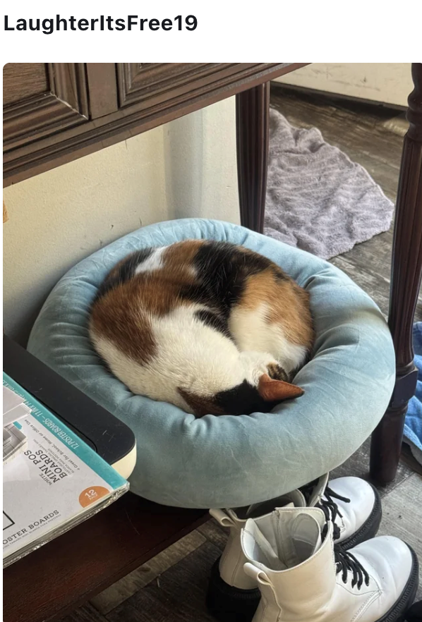 WHITE BOARDS MINI POS Great for Bhool, or office se 12 POSTER BOARDS-11 H OSTER BOARDS 12 LaughterltsFree19