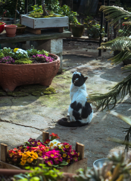 Cheezburger Image 10616402688