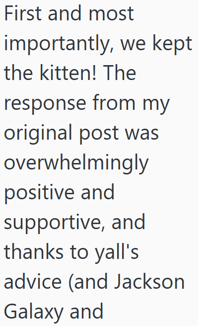 First and most importantly, we kept the kitten! The response from my original post was overwhelmingly positive and supportive, and thanks to yall's advice (and Jackson Galaxy and