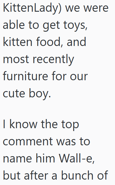 Kitten Lady) we were able to get toys, kitten food, and most recently furniture for our cute boy. I know the top comment was to name him Wall-e, but after a bunch of