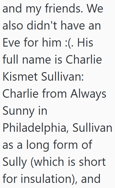 and my friends. We also didn't have an Eve for him :(. His full name is Charlie Kismet Sullivan: Charlie from Always Sunny in Philadelphia, Sullivan as a long form of Sully (which is short for insulation), and