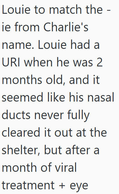 Louie to match the - ie from Charlie's name. Louie had a URI when he was 2 months old, and it seemed like his nasal ducts never fully cleared it out at the shelter, but after a month of viral treatment + eye