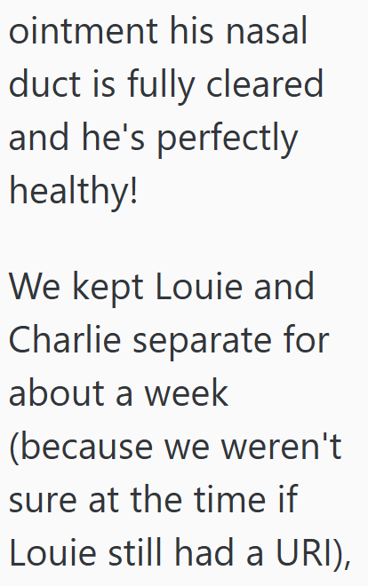 ointment his nasal duct is fully cleared and he's perfectly healthy! We kept Louie and Charlie separate for about a week (because we weren't sure at the time if Louie still had a URI),