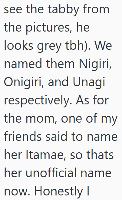 see the tabby from the pictures, he looks grey tbh). We named them Nigiri, Onigiri, and Unagi respectively. As for the mom, one of my friends said to name her Itamae, so thats her unofficial name now. Honestly I