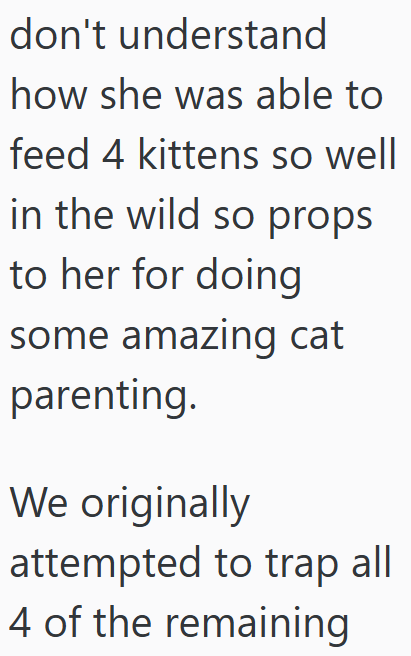 don't understand how she was able to feed 4 kittens so well in the wild so props to her for doing some amazing cat parenting. We originally attempted to trap all 4 of the remaining