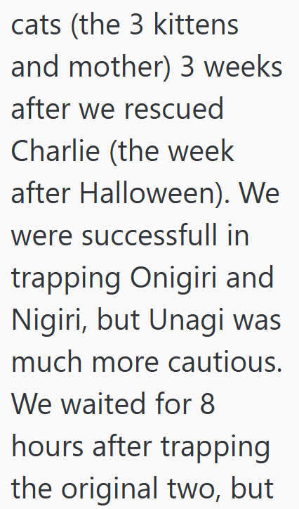 cats (the 3 kittens and mother) 3 weeks after we rescued Charlie (the week after Halloween). We were successfull in trapping Onigiri and Nigiri, but Unagi was much more cautious. We waited for 8 hours after trapping the original two, but