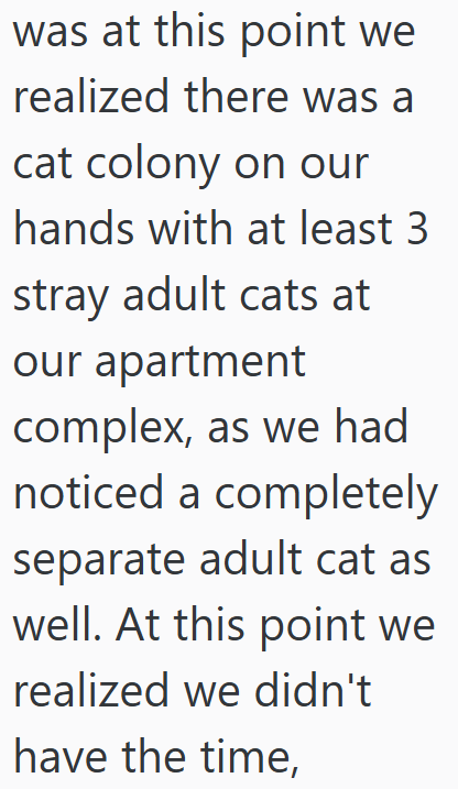 was at this point we realized there was a cat colony on our hands with at least 3 stray adult cats at our apartment complex, as we had noticed a completely separate adult cat as well. At this point we realized we didn't have the time,