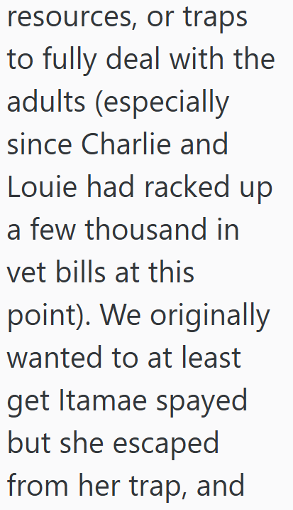 resources, or traps to fully deal with the adults (especially since Charlie and Louie had racked up a few thousand in vet bills at this point). We originally wanted to at least get Itamae spayed but she escaped from her trap, and