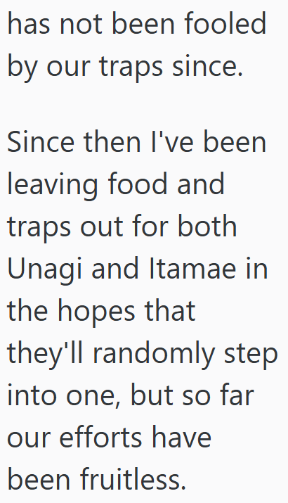 has not been fooled by our traps since. Since then I've been leaving food and traps out for both Unagi and Itamae in the hopes that they'll randomly step into one, but so far our efforts have been fruitless.