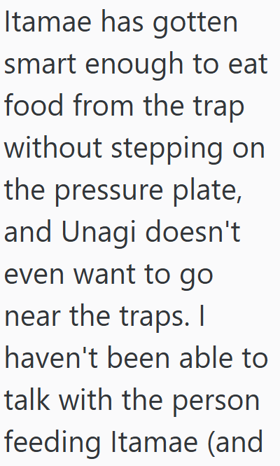 Itamae has gotten smart enough to eat food from the trap without stepping on the pressure plate, and Unagi doesn't even want to go near the traps. I haven't been able to talk with the person feeding Itamae (and