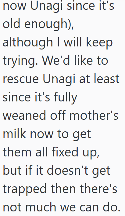 now Unagi since it's old enough), although I will keep trying. We'd like to rescue Unagi at least since it's fully weaned off mother's milk now to get them all fixed up, but if it doesn't get trapped then there's not much we can do.