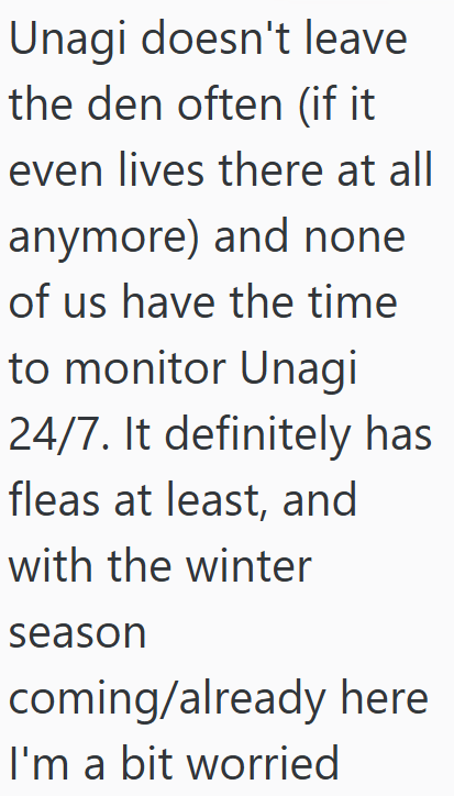 Unagi doesn't leave the den often (if it even lives there at all anymore) and none. of us have the time to monitor Unagi 24/7. It definitely has fleas at least, and with the winter season coming/already here I'm a bit worried