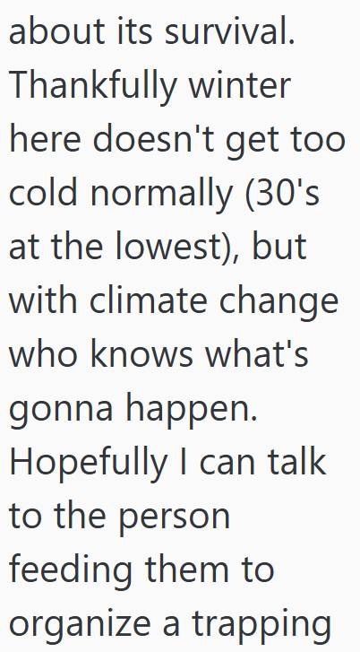 about its survival. Thankfully winter here doesn't get too cold normally (30's at the lowest), but with climate change who knows what's gonna happen. Hopefully I can talk to the person feeding them to organize a trapping