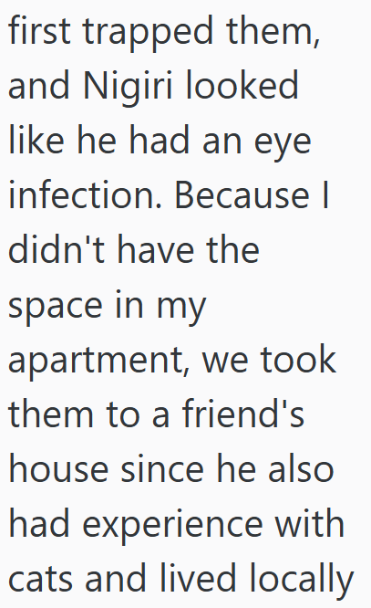 first trapped them, and Nigiri looked like he had an eye infection. Because I didn't have the space in my apartment, we took them to a friend's house since he also had experience with cats and lived locally