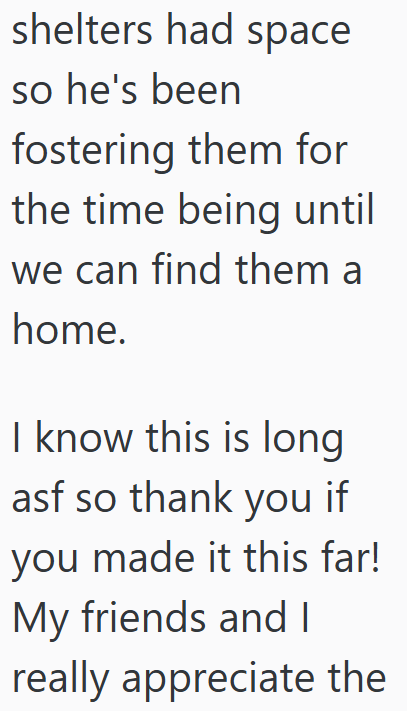 shelters had space so he's been fostering them for the time being until we can find them a home. I know this is long asf so thank you if you made it this far! My friends and I really appreciate the