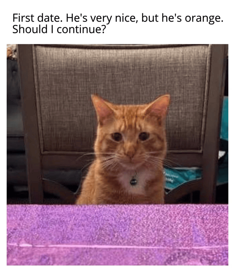First date. He's very nice, but he's orange. Should I continue?