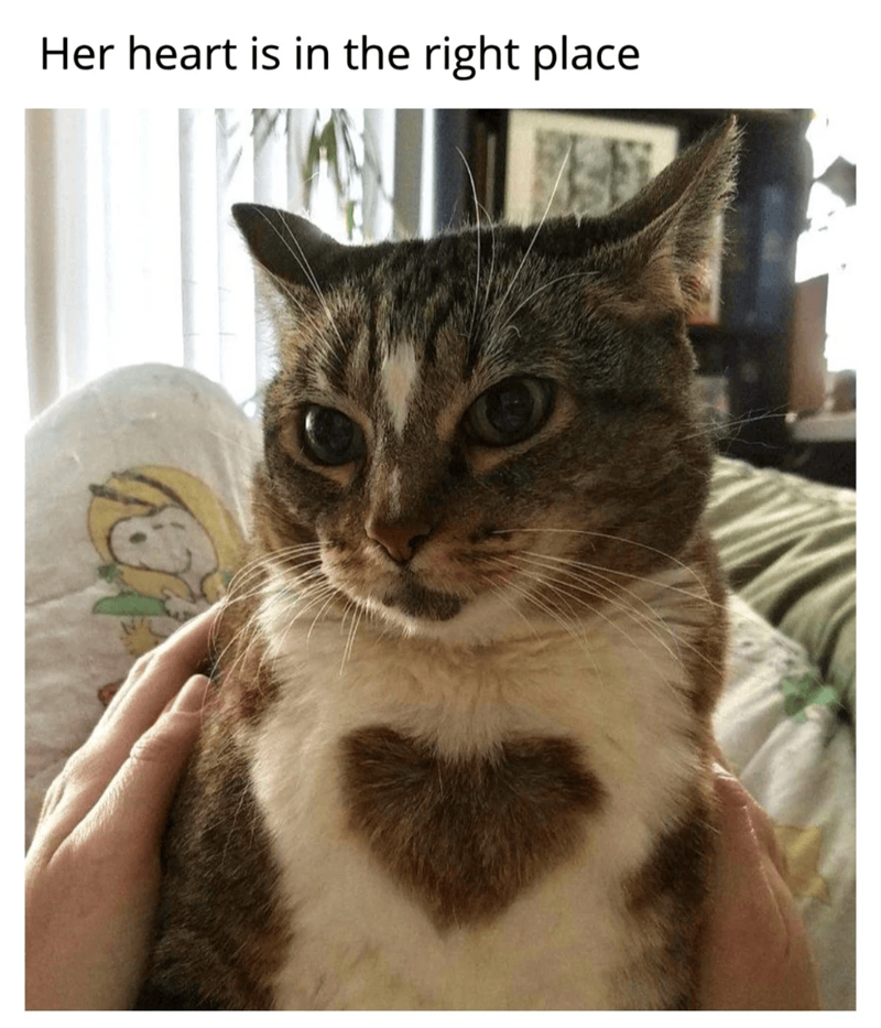 Her heart is in the right place