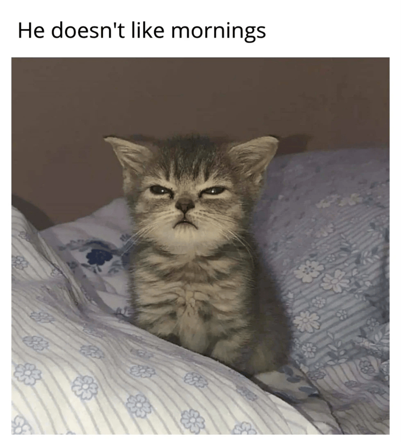 He doesn't like mornings