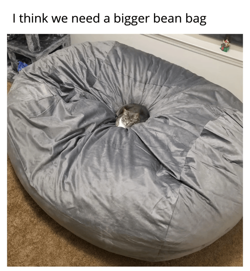 I think we need a bigger bean bag