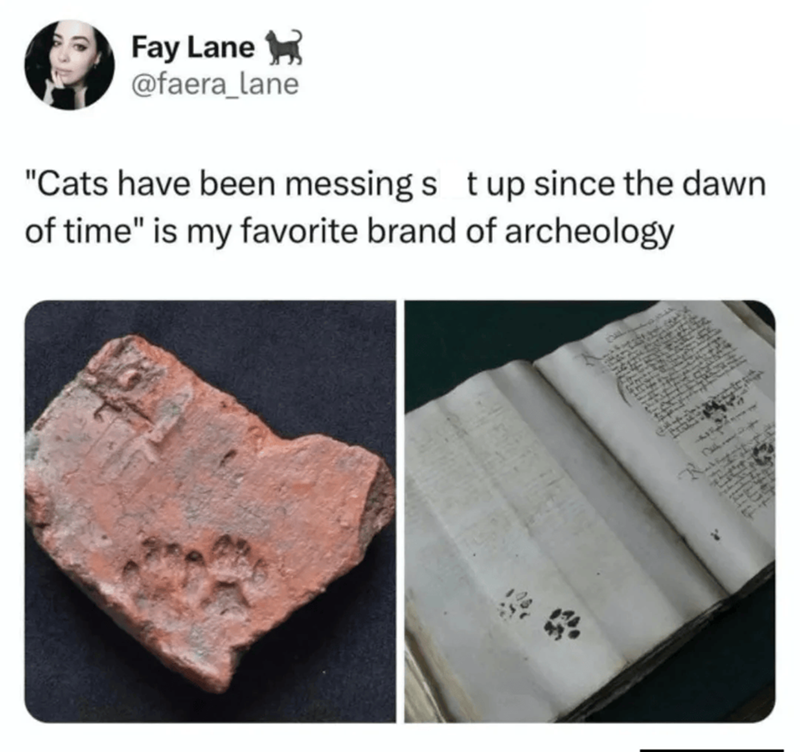 Fay Lane @faera_lane "Cats have been messing s t up since the dawn of time" is my favorite brand of archeology