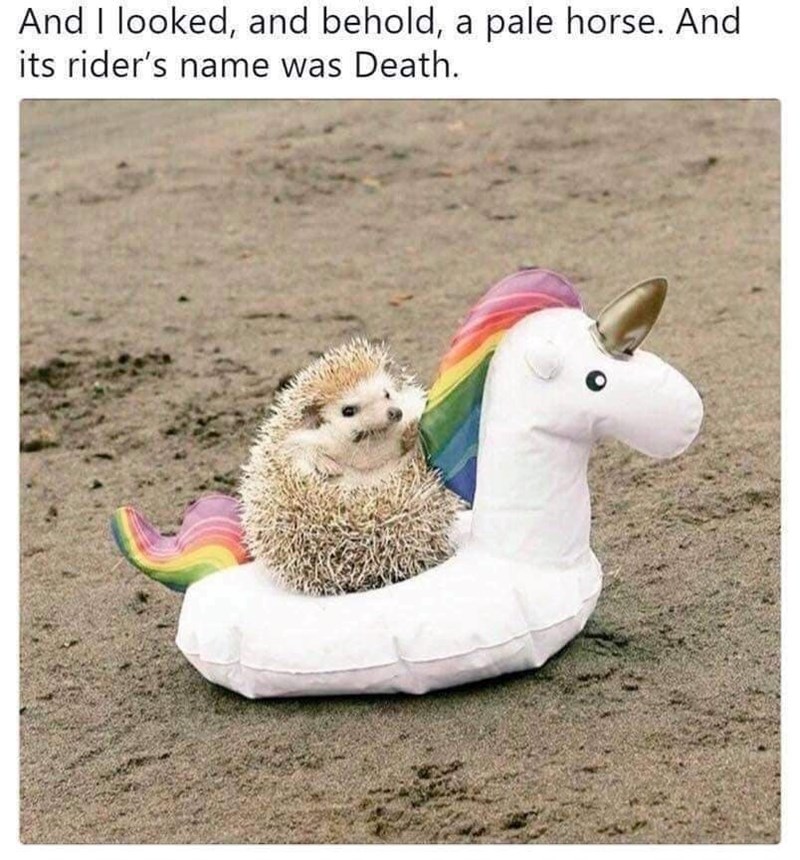 And I looked, and behold, a pale horse. And its rider's name was Death.