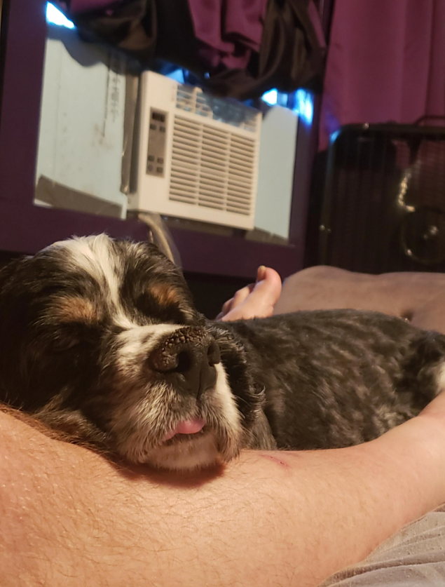 Cheezburger Image 10616431616