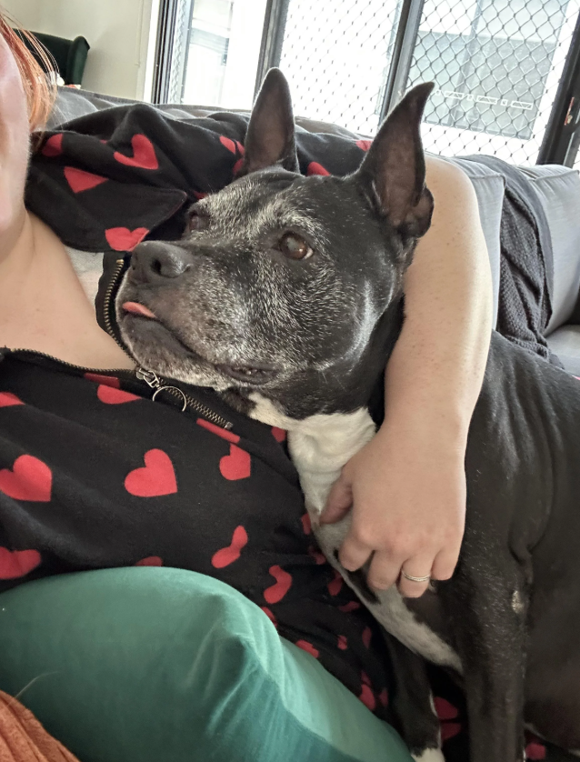 Cheezburger Image 10616432128