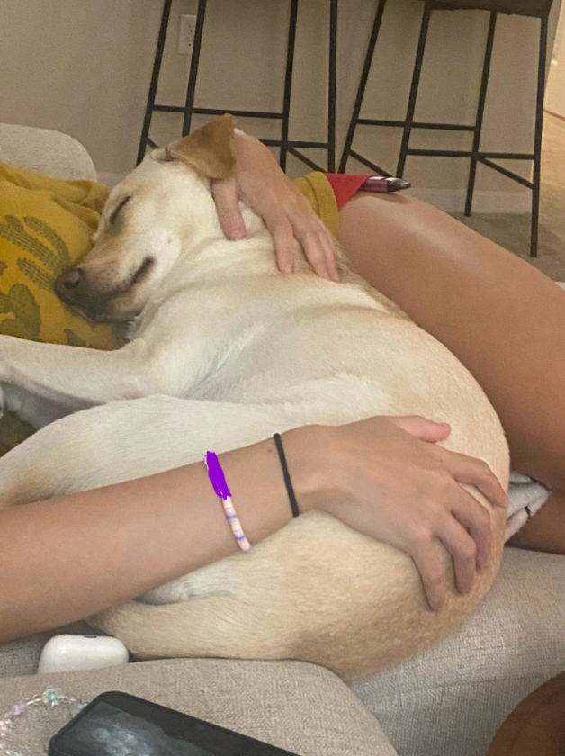 Cheezburger Image 10616432384