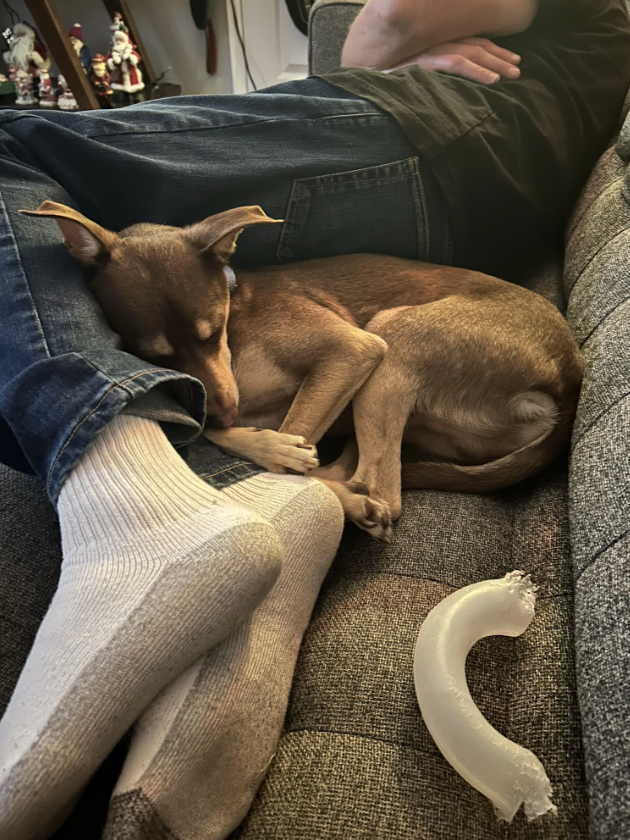 Cheezburger Image 10616432896