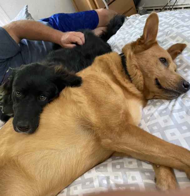 Cheezburger Image 10616433408