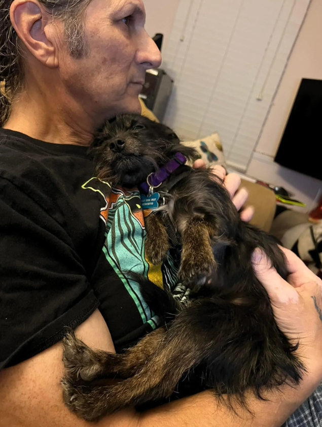 Cheezburger Image 10616434176