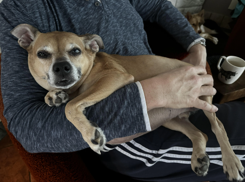 Cheezburger Image 10616434688