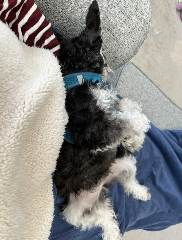 Cheezburger Image 10616435200