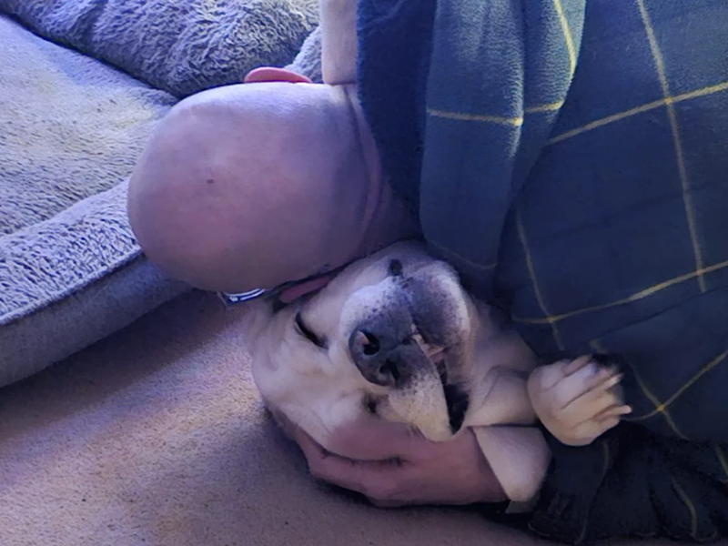 Cheezburger Image 10616436224