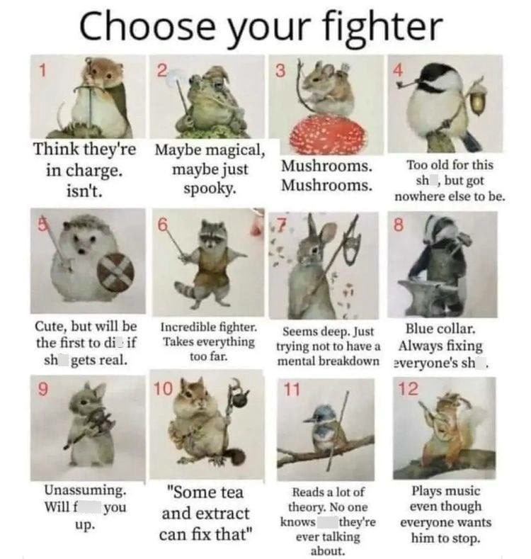 Choose your fighter 1 2 3 Think they're Maybe magical, in charge. isn't. maybe just spooky. Mushrooms. Too old for this Mushrooms. sh, but got nowhere else to be. 8 Cute, but will be the first to di if sh gets real. 9 Incredible fighter. Takes everything Seems deep. Just trying not to have a too far. mental breakdown Blue collar. Always fixing everyone's sh 10 11 12 Unassuming. Will f "Some tea you up. and extract can fix that" Reads a lot of theory. No one Plays music even though knows they're