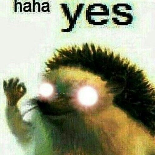 haha yes