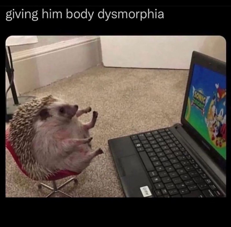 giving him body dysmorphia SONIC