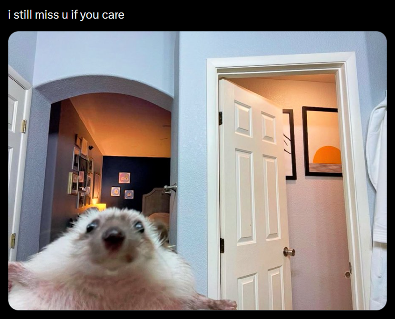 i still miss u if you care