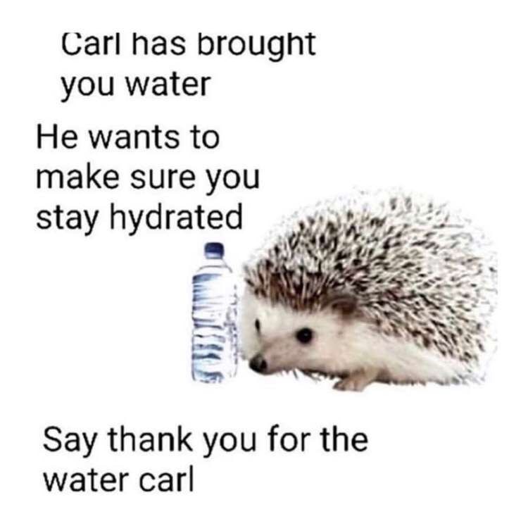 Carl has brought you water He wants to make sure you stay hydrated Say thank you for the water carl