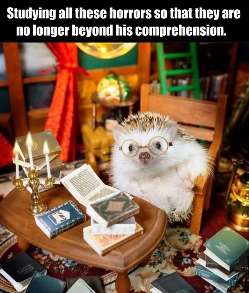 Studying all these horrors so that they are no longer beyond his comprehension.