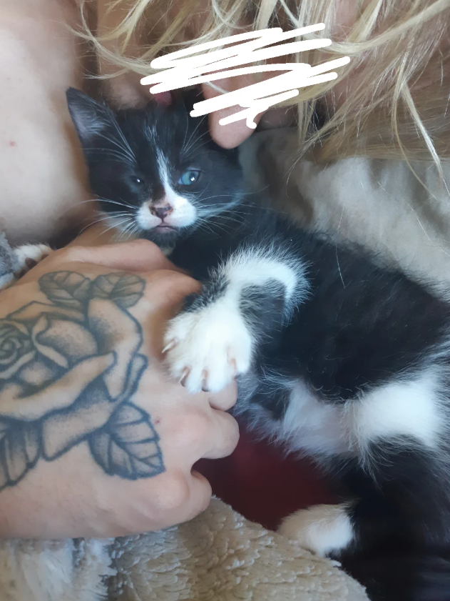 Cheezburger Image 10616440576