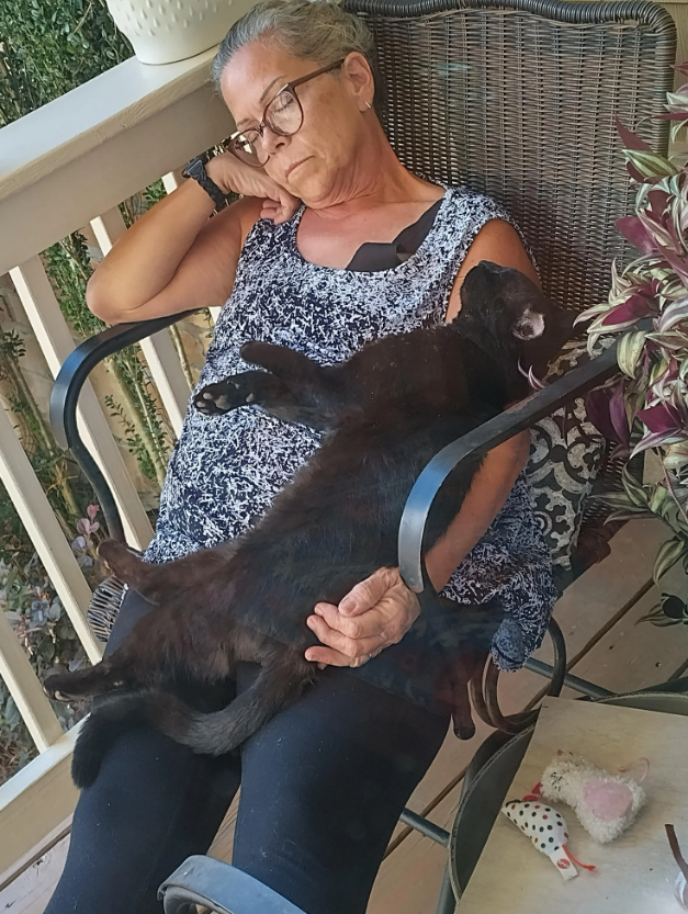 Cheezburger Image 10616440832