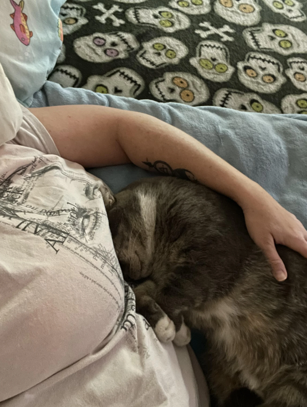 00 00 pure اللغه